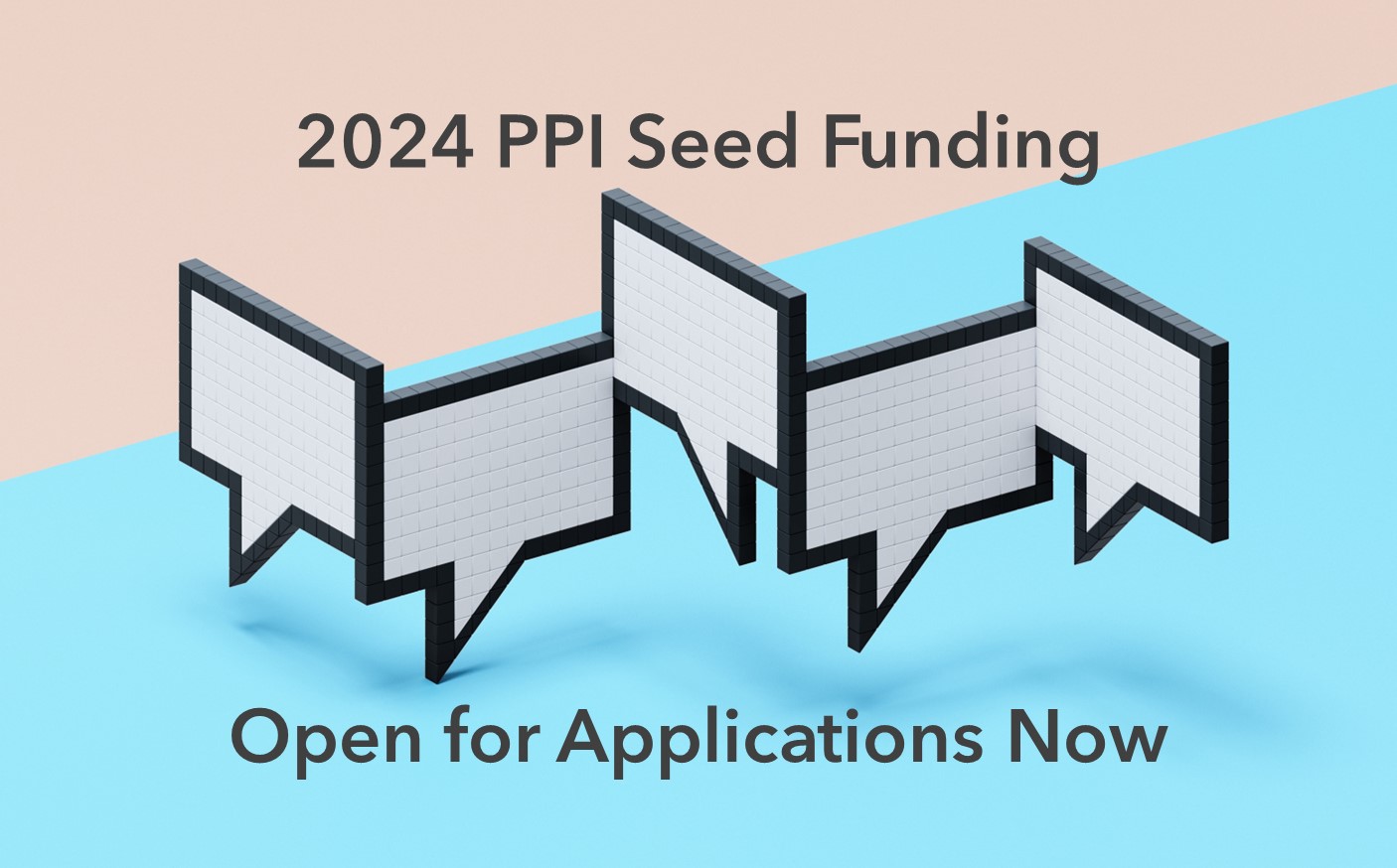 Applications are now open for the 2024 round of PPI seed funding.